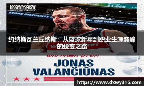 bsports官网入口