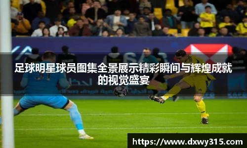 B体育官网