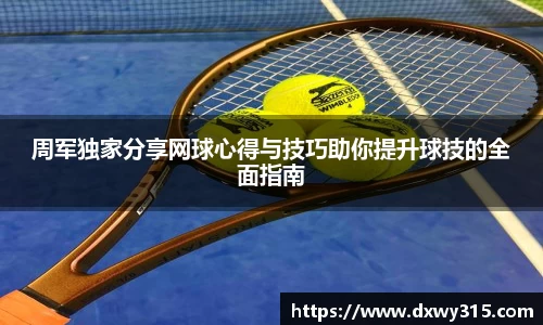 B体育bsports