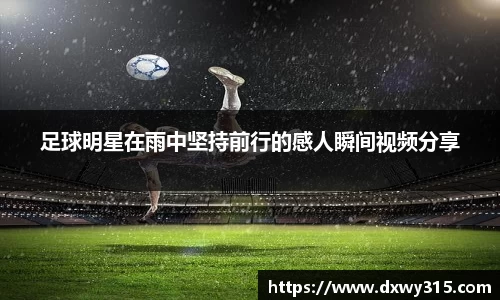 bsports官网入口