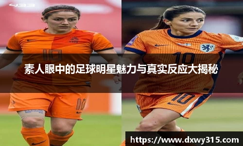 bsports官网入口